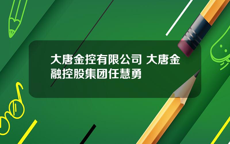 大唐金控有限公司 大唐金融控股集团任慧勇